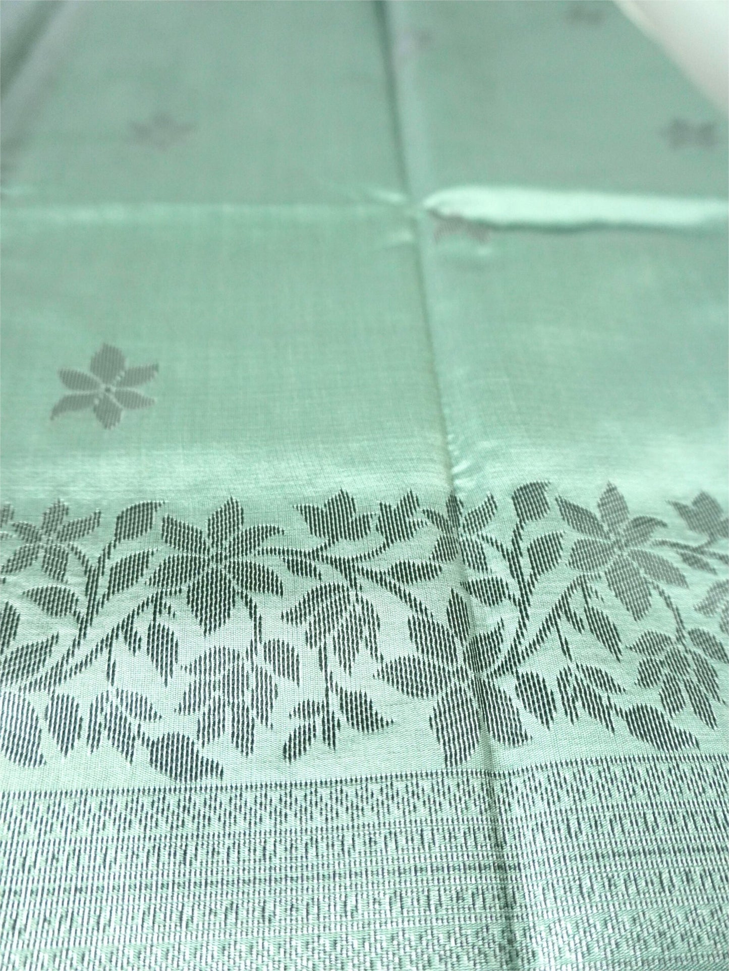 Pastel Green Saree with Black and silver Floral Border