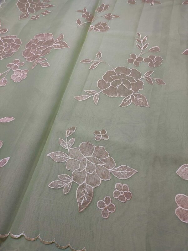 Pastel Green Organza Saree with Tissue Appliqué