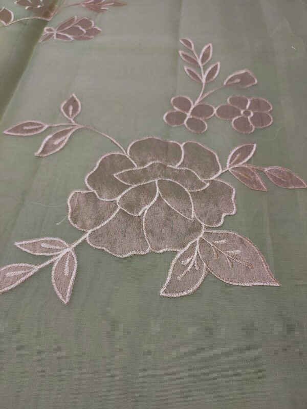 Pastel Green Organza Saree with Tissue Appliqué