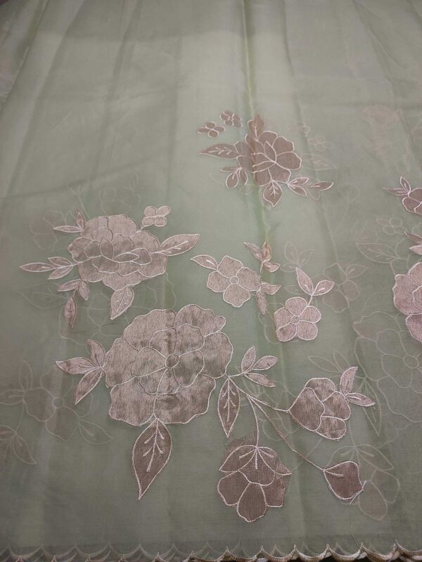 Pastel Green Organza Saree with Tissue Appliqué
