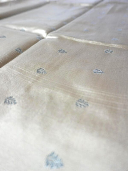 Taupe Brown Saree with Black Floral Border
