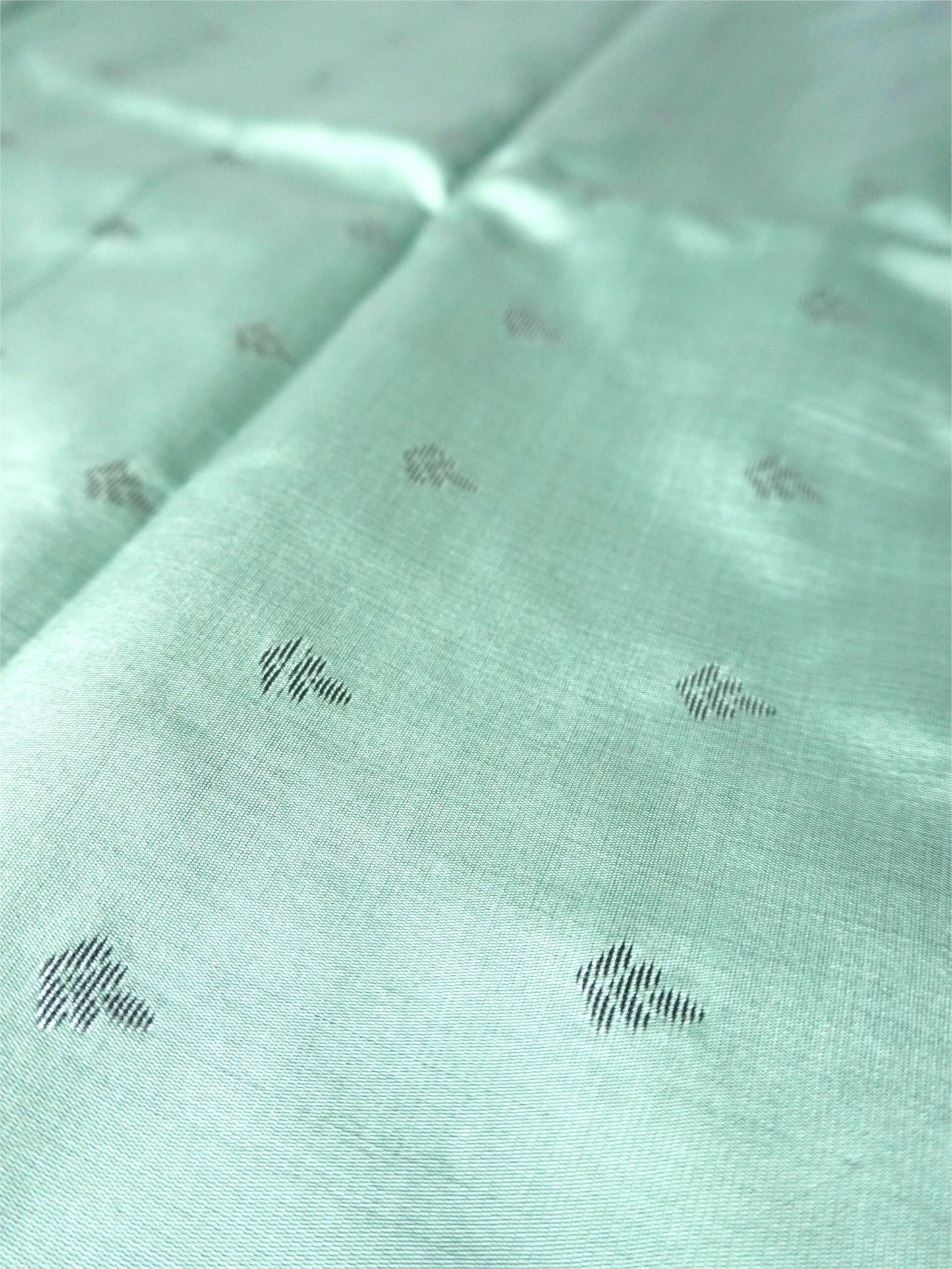 Pastel Green Saree with Black and silver Floral Border