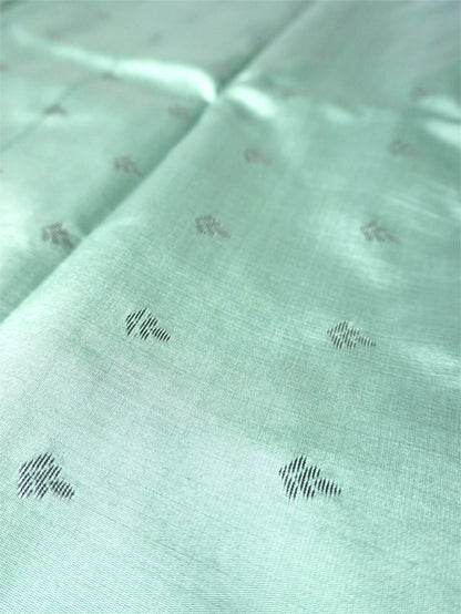 Pastel Green Saree with Black and silver Floral Border