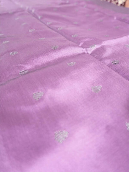 Light Violet Saree with Black and silver Floral Border