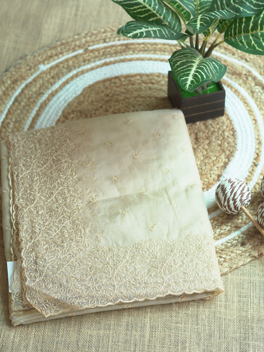 Beige Organza Saree with Delicate Thread Embroidery