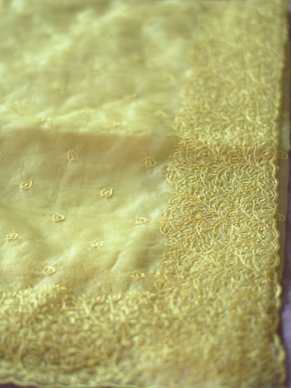 Yellow Organza Saree with Delicate Thread Embroidery