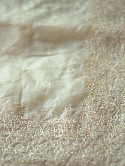 Beige Organza Saree with Delicate Thread Embroidery