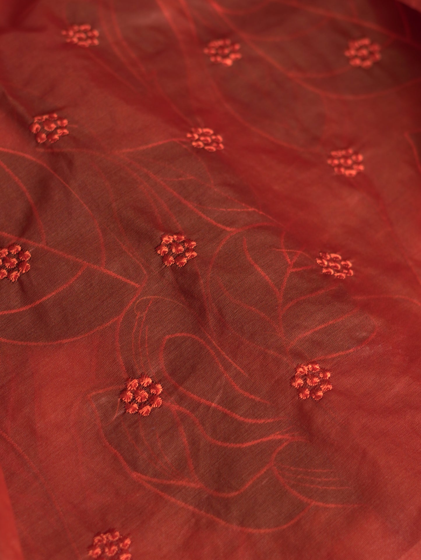 Burnt Orange & Coffee Brown Organza Saree with Appliqué Work