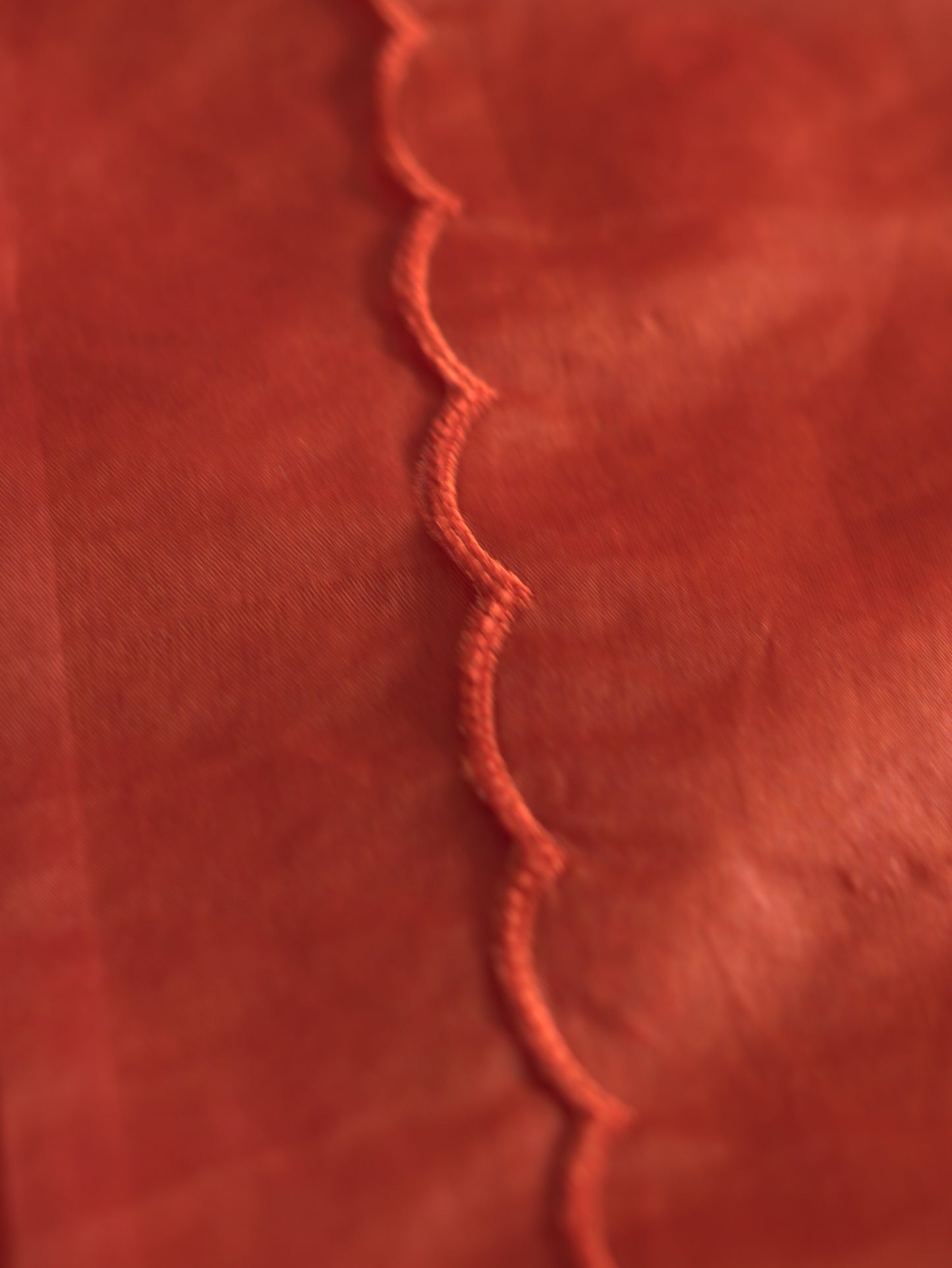 Burnt Orange & Coffee Brown Organza Saree with Appliqué Work