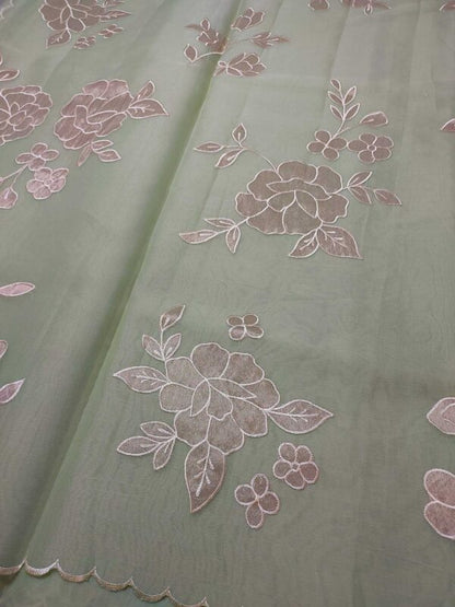Pastel Green Organza Saree with Tissue Appliqué