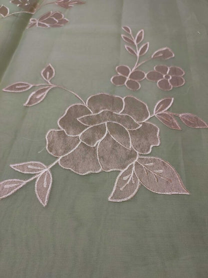 Pastel Green Organza Saree with Tissue Appliqué